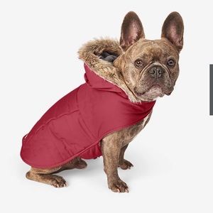 Eddie Bauer Pet Coat